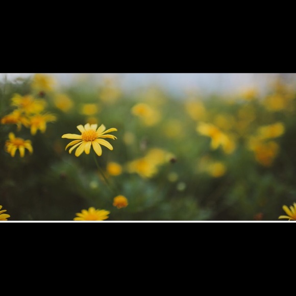 Meet your Posher, Gina - Picture 1 of 1